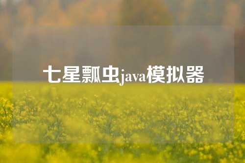 七星瓢虫java模拟器