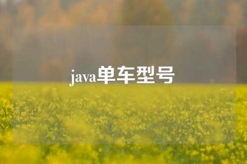 java单车型号