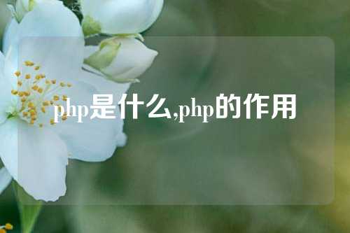 php是什么,php的作用