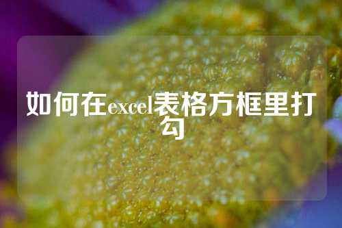 如何在excel表格方框里打勾