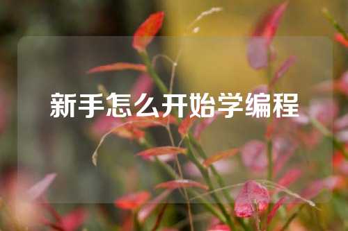 新手怎么开始学编程