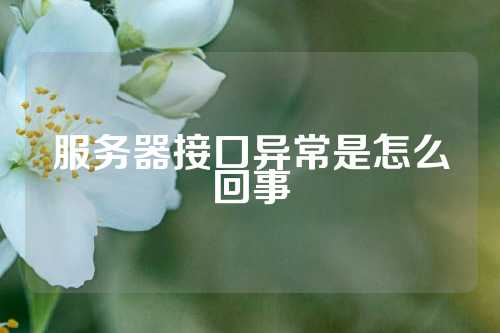 服务器接口异常是怎么回事