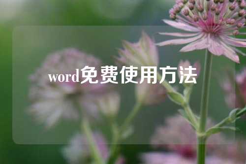 word免费使用方法