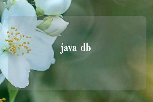 java db