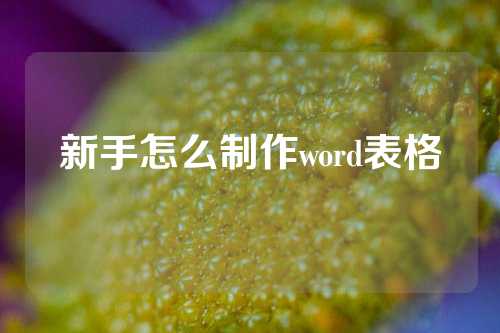 新手怎么制作word表格