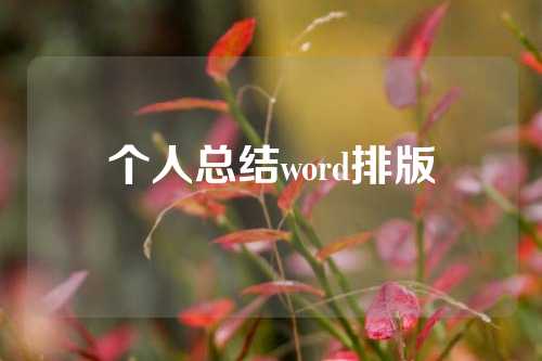 个人总结word排版