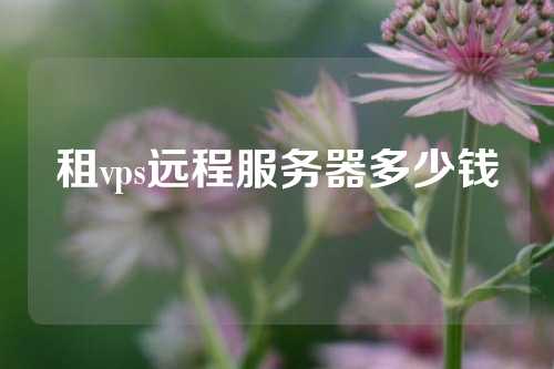 租vps远程服务器多少钱