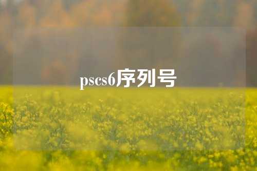 pscs6序列号