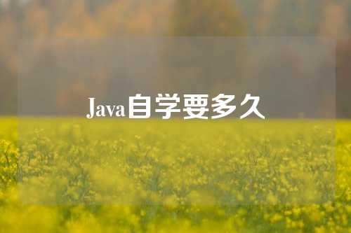 Java自学要多久