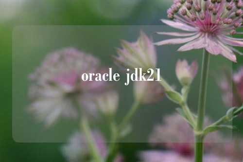 oracle jdk21