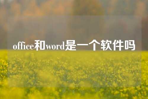 office和word是一个软件吗