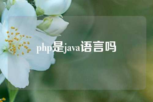 php是java语言吗