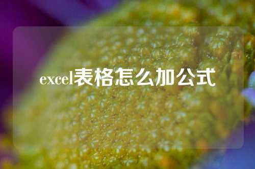 excel表格怎么加公式