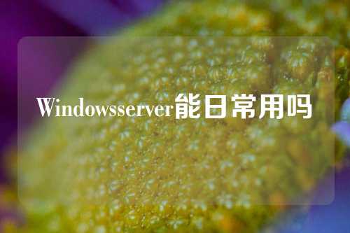 Windowsserver能日常用吗