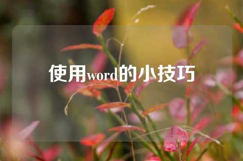 使用word的小技巧