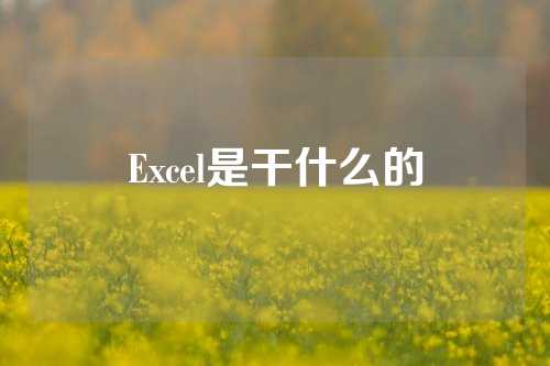 Excel是干什么的