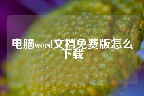 电脑word文档免费版怎么下载