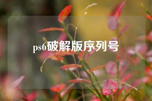 ps6破解版序列号