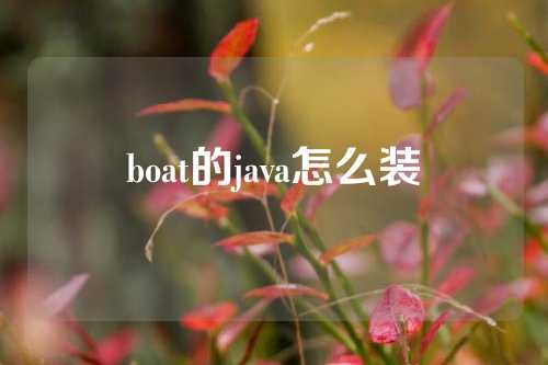 boat的java怎么装