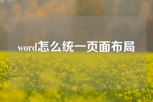 word怎么统一页面布局