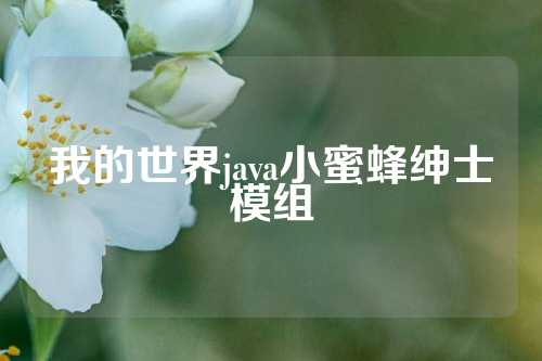 我的世界java小蜜蜂绅士模组