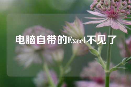 电脑自带的Excel不见了