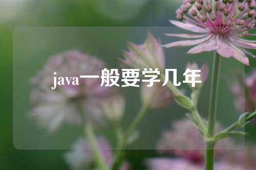 java一般要学几年