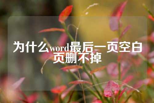 为什么word最后一页空白页删不掉