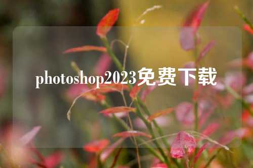 photoshop2023免费下载