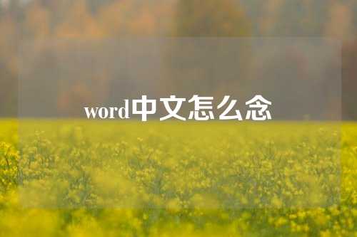 word中文怎么念