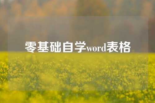 零基础自学word表格