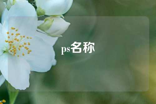 ps名称