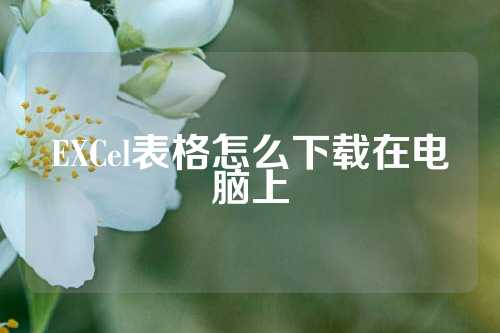 EXCel表格怎么下载在电脑上