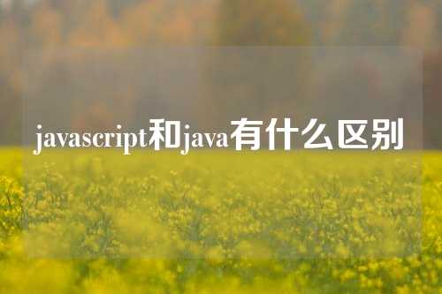 javascript和java有什么区别