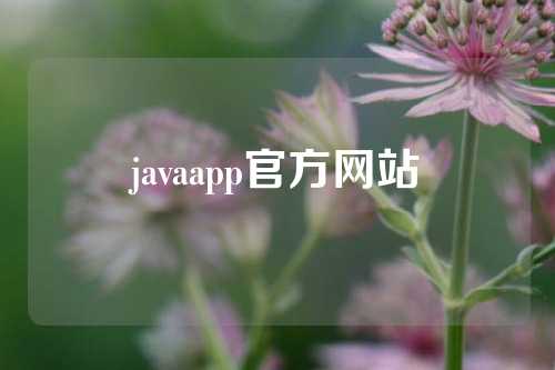 javaapp官方网站