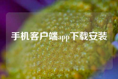 手机客户端app下载安装