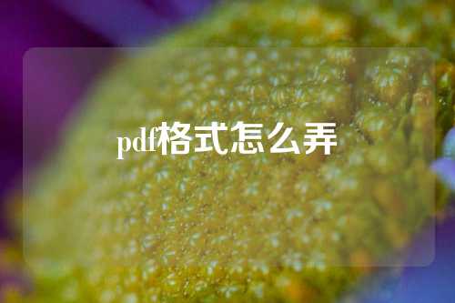 pdf格式怎么弄