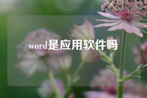 word是应用软件吗