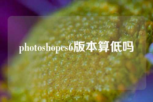 photoshopcs6版本算低吗