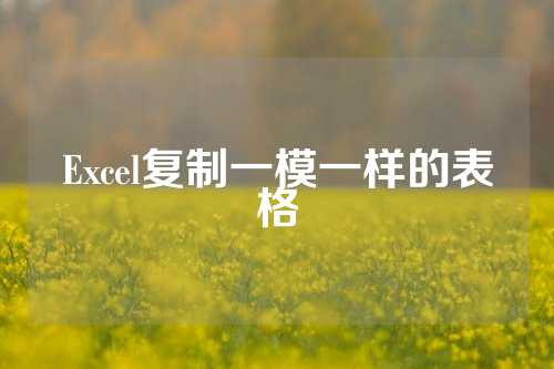 Excel复制一模一样的表格