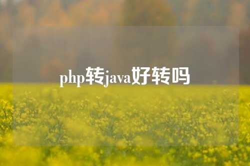 php转java好转吗