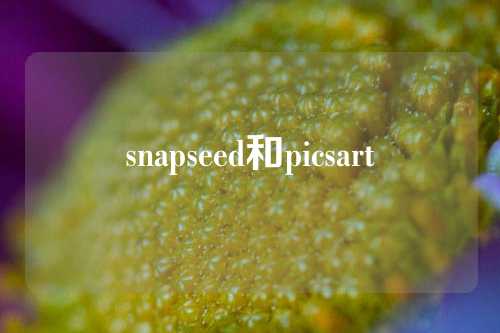 snapseed和picsart