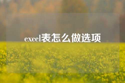 excel表怎么做选项