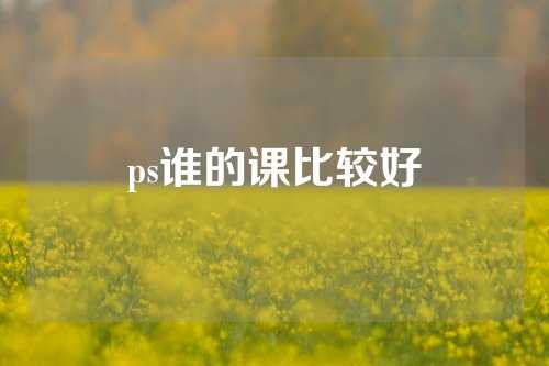 ps谁的课比较好