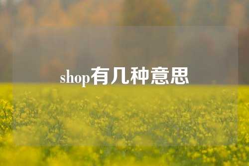 shop有几种意思