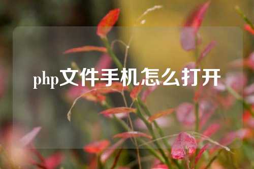 php文件手机怎么打开