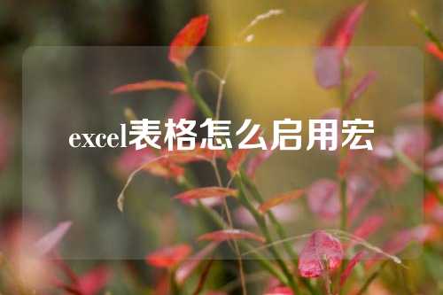 excel表格怎么启用宏