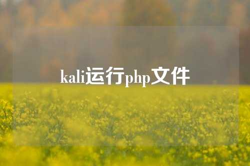 kali运行php文件