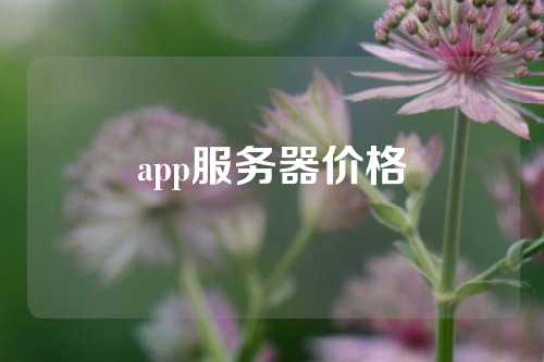 app服务器价格