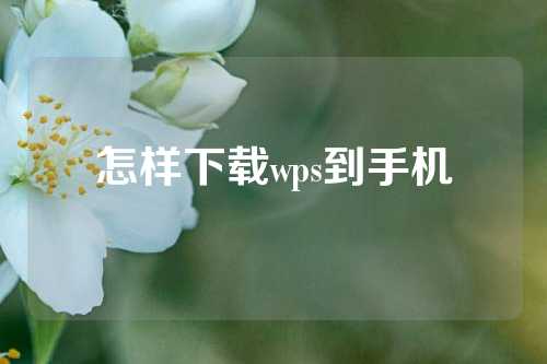 怎样下载wps到手机